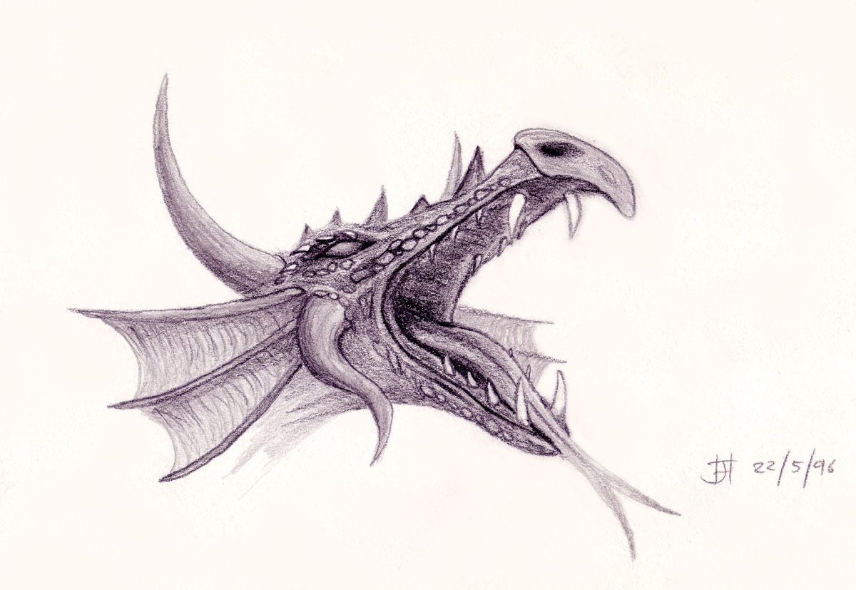 Drawing of a dragons head