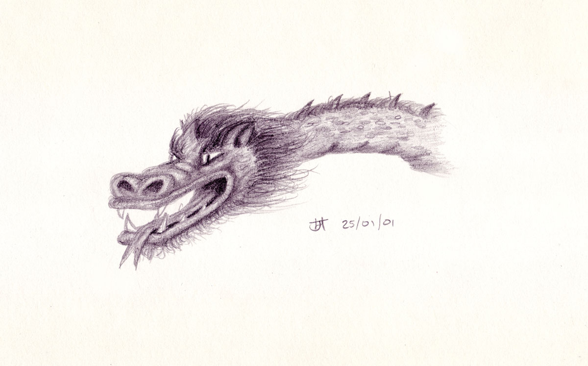 Drawing of a dragons head