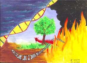 Abstract painting of the four elements and life