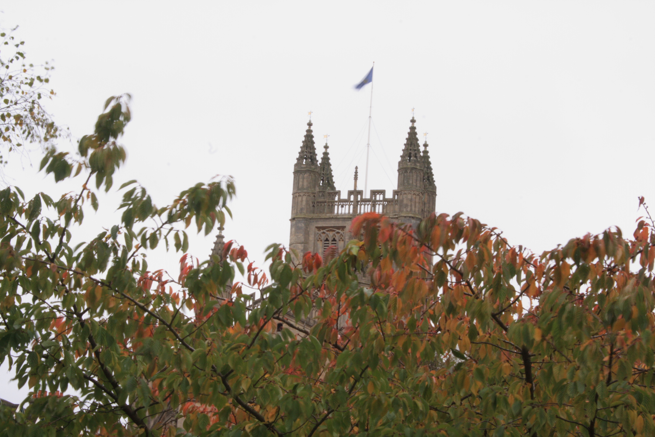 Bath Abbey as seen from the rivers edge