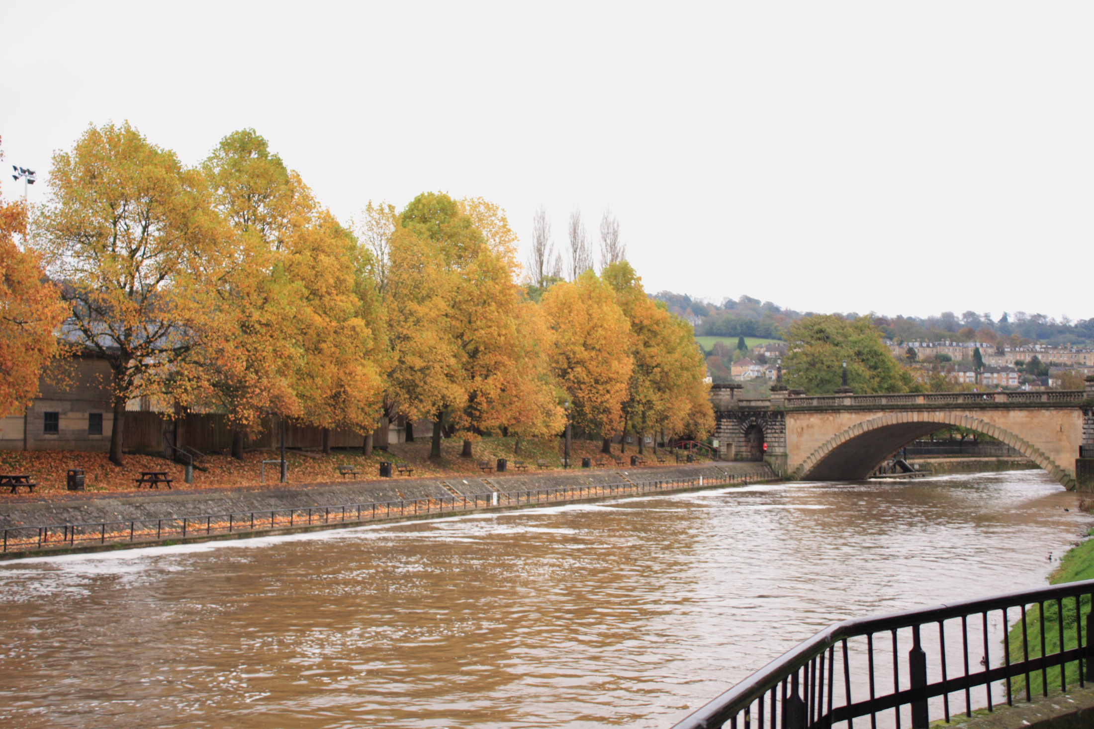Autumnal colours by the river edge